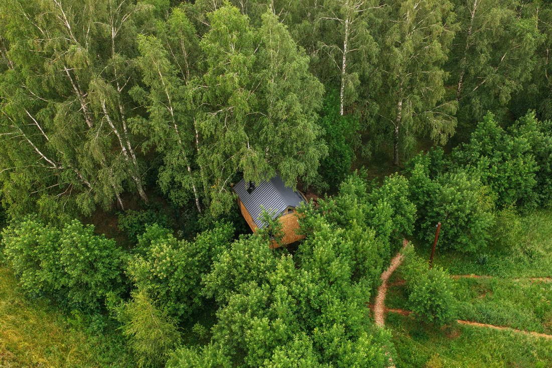 Необычные отели России: домик на дереве