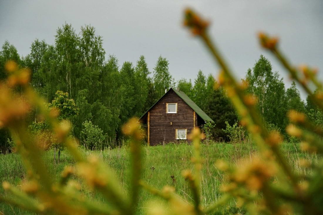 Красная дубрава